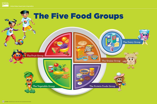 five food groups