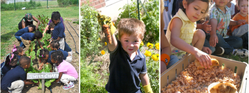 Farm to Early Care Resources