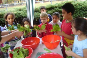 Edible_Schoolyard_Project